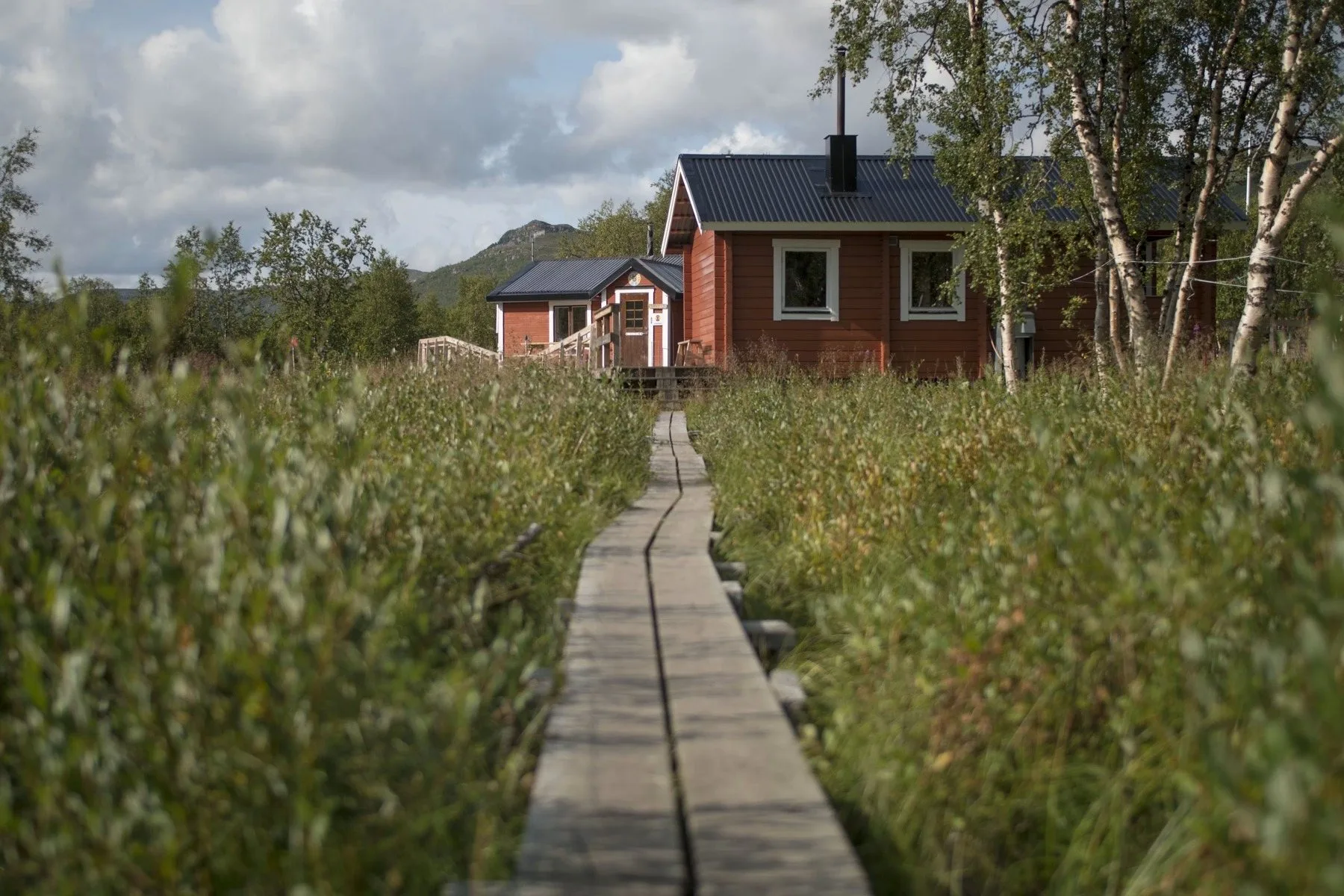 Expedición invernal Abisko Cabin Adventure · momento 5