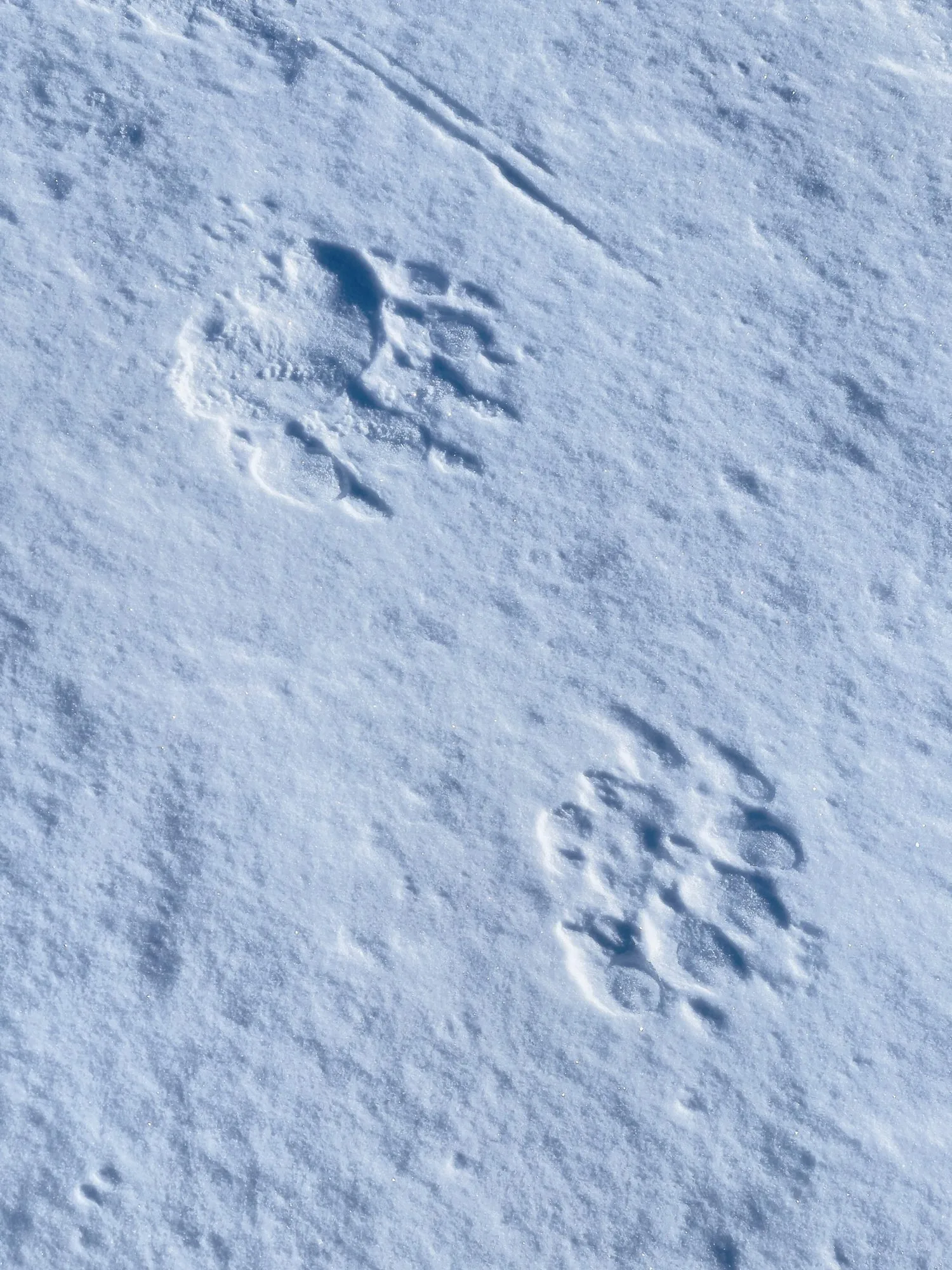 Svalbard Extreme Expedition · momento 7